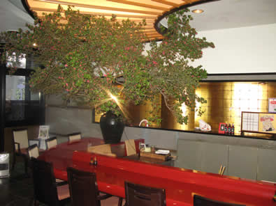 山つつじ